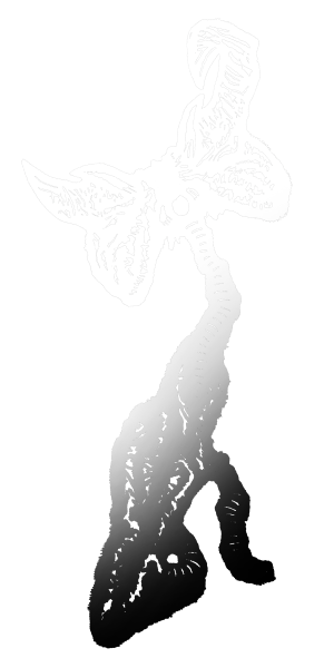 lenperfkwia